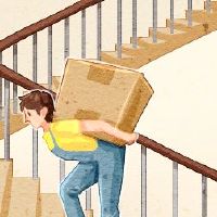 蜻蜓在2022年2月11日起选择2022年的日子?