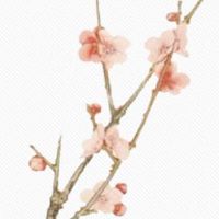 搬家要先搬什么最发财 细水长流寓意盘满钵满