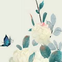 房间桃花运风水布局:卧室摆放什么花招桃花运