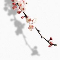 脖后面有三颗痣命运如何 脖子后长痣运势亨通