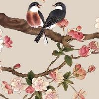 立春前后三天不宜出行吗 不理发不看病不回娘家