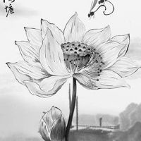 2022年3月属羊人的财运好不好 有破财风险吗