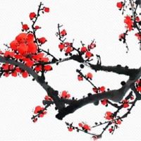 春节供奉关公像有什么讲究 拜关公上香的正确姿势