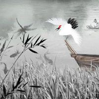 2022年3月生肖狗财运运势解析 能够走运发大财吗