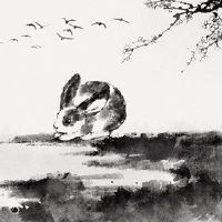 Babrelle 2022,灯节,财富之神,寻求作弊