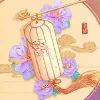 在第一天,我放了四个鞭炮,我喜欢傅鲁寿的烟花。