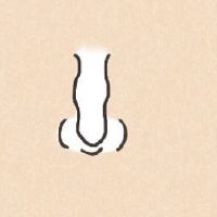 手相面相分析-额头大鼻子大的女人旺夫 成功的职业生涯