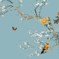 耳朵长痣的位置图解 耳廓有痣聪慧财气好