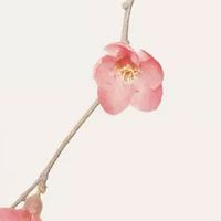 女人身上的痣图解 头顶有痣衣食无忧