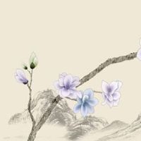 女生左手断掌 右手不断 女孩左手断掌非富即贵