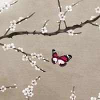 女性手上9个斗代表什么 九个斗的女人适合经商