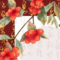 女孩出生在海,缺乏婚姻幸福