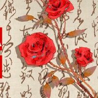 五个元素的五行是什么?