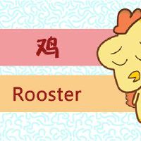 黄道带鸡:在春节前我必须有一个“大件”!普遍的