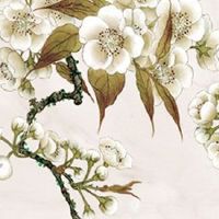 正月十二为什么放鞭炮 驱赶年兽大吉大利