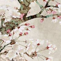 2022年春节属猪人幸运色 发财幸运数字一览