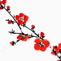 除夕上坟上午还是下午 缅怀先人激励后人