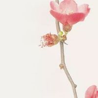 女人这七处长痣最吉利 右眉长痣非富即贵