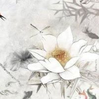 2022年3月份属鸡人爱情顺利吗 会有烂桃花吗