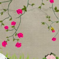 佛说意外怀孕的孩子都有灵性 上天恩赐来报恩