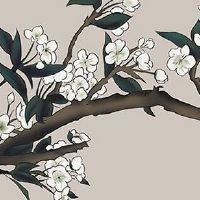 与道家有缘的出生日 八字看佛缘道家缘分