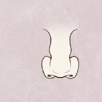 手相面相分析-大鼻子的女人旺夫吗? 整体比例要合适