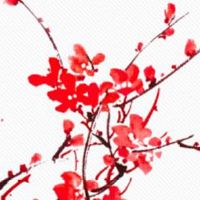 年夜饭必备的菜品有哪些 年夜饭吃饺子的寓意