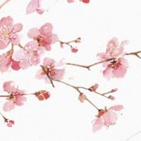 元宵节的由来 为什么叫元宵节