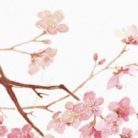 元宵节为什么又叫灯节 始于汉初盛于唐宋