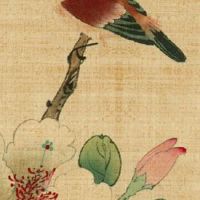 真正出生天道的童子 天道孩童的特征