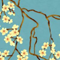 为什么神仙转世都单纯 神仙的情商都很高