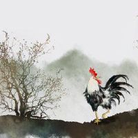 这是一个鸡肉人,在2022年的第一个月的第一个月的第一个月是第15条。