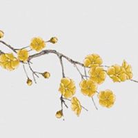 正月十二宜什么忌什么 民间风俗禁忌事项