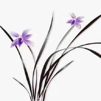 2022年正月十二出生的宝宝什么命 聪慧聪颖衣禄有余