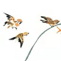 2022年正月十二出生的男孩是什么命 五行缺什么