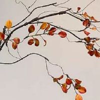 能嫁优秀老公的痣相 锁骨有痣气质非凡