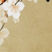 命宫壬寅金箔命什么意思 运势大旺命中带富贵之气