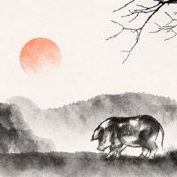 三月份出生的属猪八败 三月出生文艺显达人