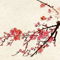 2022年5月5日立夏生肖冲煞: 今日冲什么生肖