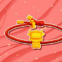 你能在这一生的春节出去吗?什么是付款?