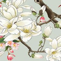 正月初五出生女孩是贵妇命吗 女命几点出生命好