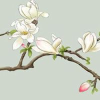 正月初五出生的男命如何 此日出生最佳吉时