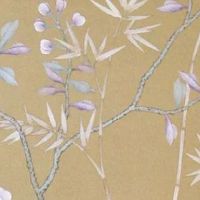 五官上的哪些痣不能取 眉毛上长痣有财富运