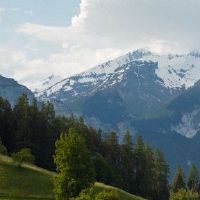 这个男孩是在新的一年出生的吗?