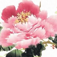 头胎生儿子的女人都厉害 什么样的女人容易生男孩