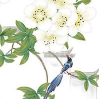 包子店起名大全未注册 店铺起名美味吸睛