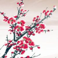 害太岁的正确化解方法 相合生肖饰品祈福提运