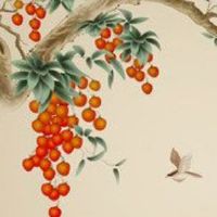 五行穿衣每日分享 2022年3月30日穿什么颜色提运