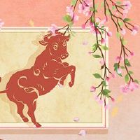 2022春节是牛的爱不是很好吗?为什么?
