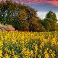 当你出生时,你会看到生命和生活。